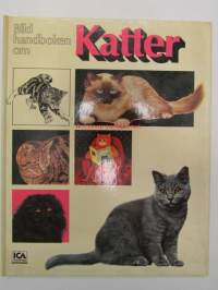 Katter - Bild handboken 0m