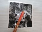 Lapin / Pohjoisen matka 1964 - kahvitauko -valokuva / photograph