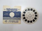 Sawyer´s View-Master nr 290, Desert - Wildflowers in Bloom, USA -reel / katselulaitteen kuvakiekko