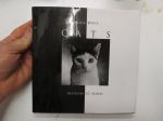 Black White Cats