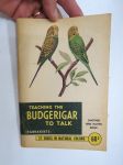 Taeching the Budgerigar to talk (parakeets), undulaatti ja sen puhumaan opettaminen