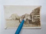 Farmi, sadonkorjuu, traktori, Kanada 1921 -valokuva / photograph