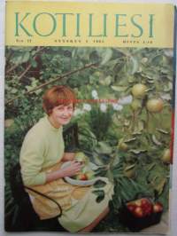 Kotiliesi 1964 nr 17 -mm. Sappipotilaan ruokavalio, Pohjoismainen keittiö tänään, Seinäjoen tyttölyseossa opitaan demokratiaa, Kummikerhon äiti Ida Salomaa,