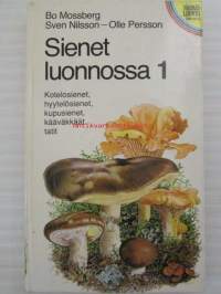 Sienet  luonnossa  1 - Kotelosienet, hyytelösienet, kupusienet, kääväkäät ja  tatit (Sienikirja)