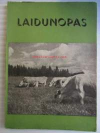 Laidunopas