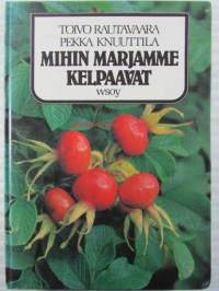 Mihin marjamme kelpaavat