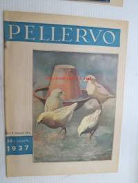 Pellervo 1937 nr 8 sis. mm. seur. artikkelit / kuvat / mainokset; Lacta separaattori, Saimaa-tupakka, Kankaan meijerivoipaperi, Maatalousnuorison kasvatuksesta,