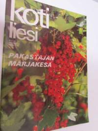 Kotiliesi 1970 nr 14 -Heinäkuu mm. kesäkuun vieraat tulivat idästä - Intian presidentin ja Persian shaahin vierailu, opisto vanhassa Moisiossa, kesämökki