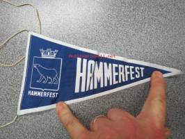 Hammerfest -matkamuistoviiri