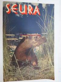 Seura 1955 nr 20, ilmestynyt 18.5.1955, sis. mm. seur. artikkelit / kuvat / mainokset; Verratonta vetelehtimistä - Kirvu - Luontola, Hilima Kekkonen, Rotusääret,