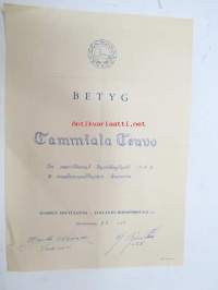 Betyg - Teuvo Tammiala - on suorittanut hyväksytysti 2. soudunopettajien kurssin - Suomen Soutuliitto - Finlands Roddförbund ry, Helsinfors 4.3.1956