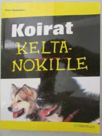 Koirat keltanokille