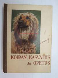 Koiran kasvatus ja opetus