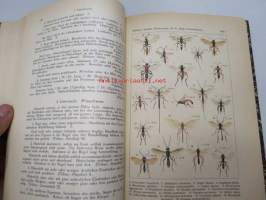 Die Ameisen (Formicidiae) Mitteleuropas, insbesondere Deutschlands -hyönteiskirja, kuvataulut tallella