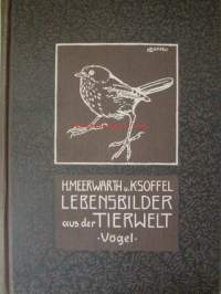 Lebensbilder aus der Tierwelt - Vögel 1, Linnut 1, katso sisältöä kuvista tarkemmin