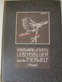 Lebensbilder aus der Tierwelt - Vögel 3, Linnut 3, katso sisältöä kuvista tarkemmin