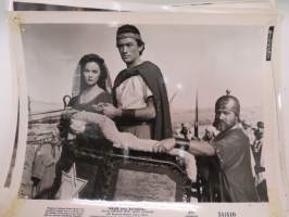 David and Bathseba - 20th Century fox - Susan Hayward, Gregory Peck -elokuvan mainoskuva / kaappikuva -movie advertising photo / display case photo