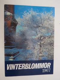 Vinterblommor 1967 -joululehti (-numero) -christmas magazine / issue