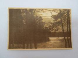 Saloisjärvi - KW nr 101 -sarja -postikortti / postcard