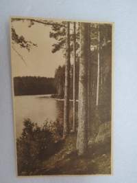 Punkaharjun rinnettä - KW nr 101 -sarja -postikortti / postcard