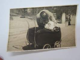 Uutuudenhohtoa 1938 (pinstripe kyljessä) II -valokuva / photograph