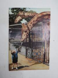 Zoo London -brochure in english, englanninkielinen eläintarha-esite