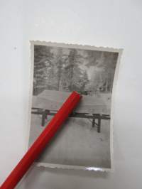 Haudalla - post mortem -valokuva / photograph