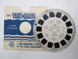 View-Master 161 Silver Springs, Florida, USA -reel / kuvakiekko