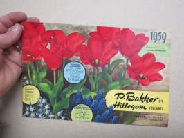 P. Bakker Oy Hillegom Syksy 1961 kukkasipulit, perennat, ruusut, koristepensaat -kuvasto / plants & bulbs catalog