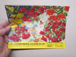 L. Stassen Junior Oy Hillegom Kevät 1959 kukkasipulit, perennat, ruusut, koristepensaat -kuvasto / plants & bulbs catalog