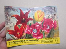 L. Stassen Junior Oy Hillegom Syksy 1958 kukkasipulit, perennat, ruusut, koristepensaat -kuvasto / plants & bulbs catalog