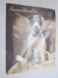 Suomen Kuvalehti 1933 nr 9, kansikuva Karheakarvainen terrieri, Suomen kansan historia, Ajanmukainen kauneusväline... ajanmukaiselle naiselle, ym.