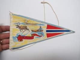 Skaidi (Norja) -pennant - souvenier / matkailuviiri