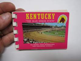 Kentucky -The Blue Grass State -matkamuistovihko