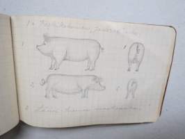 Maanviljelys- / karjanhoito- yms. muistikirja vuodelta 1922, sisältää merkintöjä tehdyistä töistä, muistiinpanoja eläinten sairauksista, joitakin piirroksia