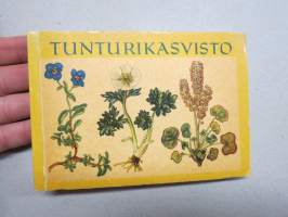 Tunturikasvisto