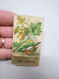 Hjertlig lyckönskan -kiiltokuva / kortti 1800-luvulta
