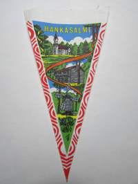 Hankasalmi -matkailuviiri, pikkukoko