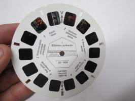 Eläinten poikasia BD 1524 Fi -Sawyer´s View-Master kuvakiekko