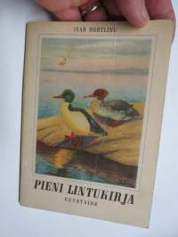 Pieni lintukirja - Kuvataide