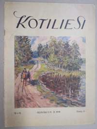 Kotiliesi 1928 nr 14, Kansikuva Jonas Heiska - Matkalla pappilaan, Sairaanhoitajatarvalmistuksestamme, Kasvavan nuorison pituus ja paino, Emäntänä itsenäinen?...