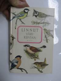 Linnut värikuvina