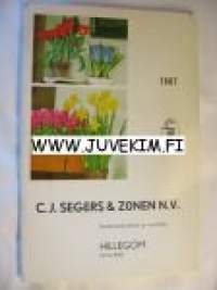 C. J. Segers & Zonen N. V. 