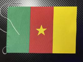 Kamerun -lippu