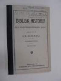 Biblisk historia till folkundervisningens tjänst