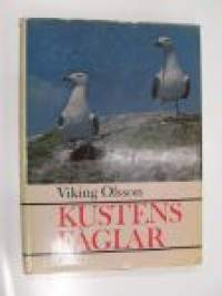 Kustens fåglar