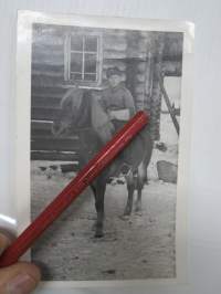 SA ratsukko -valokuva