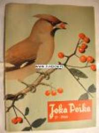 Joka Poika 1966 nr 17