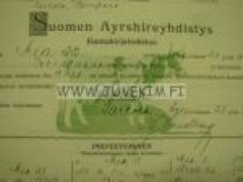 Suomen Ayrshireyhdistys Lehmä 