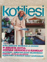 Kotiliesi 1983 nr 8, Juha Ruutsalo, Hiekkarannan piha (Keuruu), eduskuntaan tuli